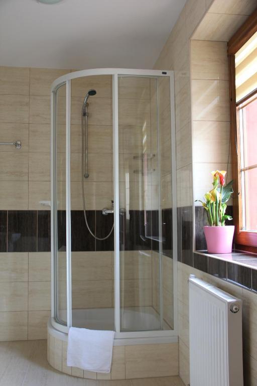 Apartamenty Pod Lwem Świdnica Oda fotoğraf